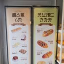 속초 가볼만한곳 / 여행 마무리 봉브레드 마늘빵 기념품 구매 후기