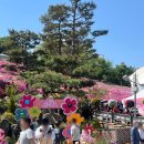 철쭉공원 화장실(중앙) | 경기 군포 | 군포철쭉축제 | 분홍빛 동산 산책하기