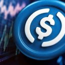 상승이 멈추지 않는 서클, 스테이블코인의 시대 도래할까? 이미지