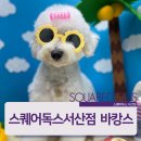 스퀘어독스 서산점 이미지