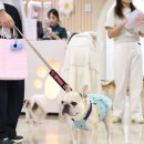 털로덮인친구들(키녹점) 이미지