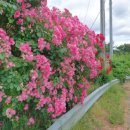 거두2리 이미지