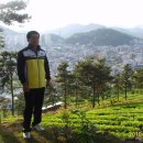 동진다향원