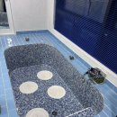 애월다래네 | 제주 애월펜션 돌코롬하우스 애월읍 조식나오는 숙소