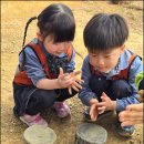 창원 자연숲 어린이집 | 어린이집 ㅣ 진동 어린이집 ㅣ 진북 어린이집 ㅣ 마산에서 1등 어린이집 ㅣ 🌳 자연과 하나 되는 하루...