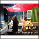 제주도 게스트하우스 조용한 파티 제주 동쪽 게하 1인 여자 혼자 여행 숙소 서귀포 우리두리게스트하우스