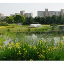 태광교통 이미지