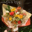 사라플라워 이미지