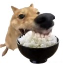 삼주메타 | 나이 반납할게요 환불해주세요 깔끔하게 사용했어요 기스없구요