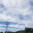 황금궁전주유소