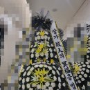 서호동-50 이미지