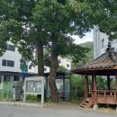 쉐마키즈학원 이미지