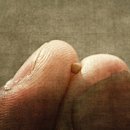 씨.씨.알(주) 이미지