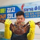 대게이상무 이미지
