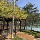 영문중학교 이미지