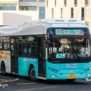 비고리조트 16 이미지