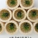 숨테라피연구소