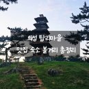 금성세탁소 | 의성 핑계고 탑리마을 맛집 숙소 볼거리 총정리