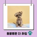 수서동물병원 이미지