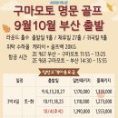 토성국제여행 네이버블로그