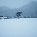 눈