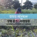 양평 캠핑장 계곡 옆 힐링 명소, 문앤스타캠핑장 후기와 명당 (자갈사이트 7)
