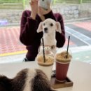누을(Nueul) 이미지