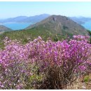 남해-281 이미지