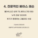 올베이스