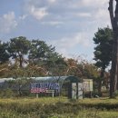 중앙공원1단계 스포츠지원센터2 | 가을에 무르익어가고 있는 세종중앙공원과 세종호수공원 (2025. 11. 1)