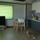 서해에서아침을 이미지