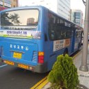 금성BS