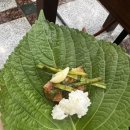 한라산똥돼지 이미지