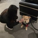 경기도 수원시 팔달구 일월로42번길 이미지