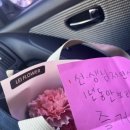 연서 카네이션 이미지