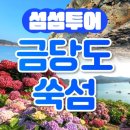 팔영산편백치유의숲주차장1 | 고흥 여행 쑥섬 수국 &amp; 금당도 팔영산 편백치유의 숲 1박2일 ktx기차여행 매력 포인트