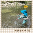송계민박 | 충북 송계 계곡 식당 팔랑소 산장 닭백숙 충주 제천 평상대여