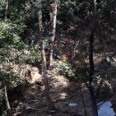 노암연합의원 이미지