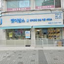 작은미용실 - 강서구 명지국제8로 269 | 마포구 강아지미용 애견미용실 푸들 작은테디컷 후기, 픽업드롭으로 편하게 맡겼어요