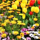 명지약국 이미지