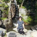 벽송산장 이미지