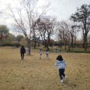 완산초교병설유치원 이미지