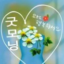 당구포켓클럽 이미지