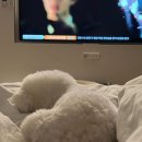 기리기리 풀빌라 이미지