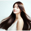 주아르헤어 이미지