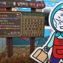 백석올미영농조합법인 | 당진의 할머니들이 뭉쳐서 만들었다는 당진 백석 올미