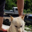 부림면사무소 이미지