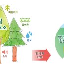 이수산림 이미지