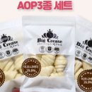 빅크리즈 네이버블로그