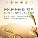 황매산 억새축제 이미지